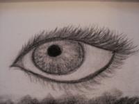 Eye - Charcoal Drawings - By Betsy Shobe, Realism Drawing Artist