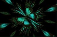 Digital Art - Abstract Butterfly - Digital