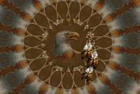 Eagle Dreamcatcher - Digital Digital - By Nancy Northcutt, Abstract Digital Artist
