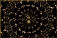 Digital Art - Kaleidoscope Spider Web - Digital