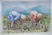 Recolectoras De Arroz - Watercolor Drawings - By Ricardo Perez Uribe, Landscape Drawing Artist