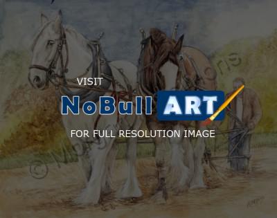 Animals - Shire Horses - Watercolor