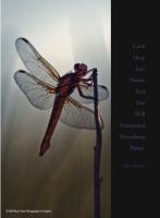 Dragonfly - Digital Photography - By Barry Hart, Graphic Posters Photography Artist