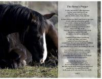The Horses Prayer - Digital Photography - By Barry Hart, Horses Photography Artist