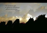 Silouhettes Of Heaven - Digital Photography - By Barry Hart, Horses Photography Artist
