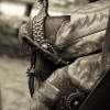 Well Worn Spurs - Digital Photography - By Barry Hart, Western Photography Artist
