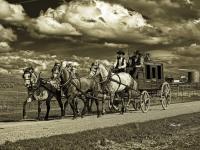 Cowboys And Horses - Stagecoach - Digital