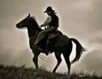 The Wrangler - Digital Photography - By Barry Hart, Western Photography Artist