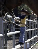 Future Cowboy - Digital Photography - By Barry Hart, Western Photography Artist