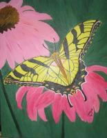 Restin Butterfly - Acrylic Photography - By Vanya Gonzalez, Nature Photography Artist