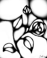 The Roses - Digital Drawings - By Jezli Pacheco, Expressionist Drawing Artist
