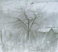 Old Apple-Tree 2008 - Graphit Pencil On Paper Drawings - By Yuri Yudaev, Realism Drawing Artist