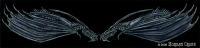 Skeletal Dragons - Prismacolor Pencils Other - By Morgan Crone, Dark Fantasy Other Artist
