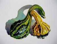 Gourds - Watercolour Paintings - By Julia Patience, Realism Painting Artist