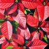 Red Poinsettia - Watercolour Paintings - By Julia Patience, Realism Painting Artist