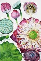 Studies Of Lotus - Watercolour And Ink Paintings - By Julia Patience, Realism Painting Artist