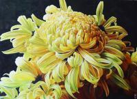 Yellow Crysanthemum - Watercolour And Ink Paintings - By Julia Patience, Realism Painting Artist