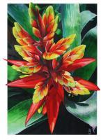 Flower Paintings - Heliconia - Watercolour And Ink