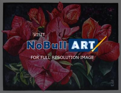 Flower Paintings - Bougainvillea Spectablis - Watercolour And Ink