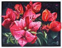 Bougainvillea Spectablis - Watercolour And Ink Paintings - By Julia Patience, Realism Painting Artist
