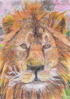 Leo - Soft Pastels  Coloured Pencil Paintings - By Paula Bettam, Traditional Painting Artist