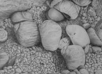 Jaeren Beach Detail - Pencil Drawings - By Fred Hebing, Realism Drawing Artist