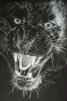 Wrath - Colored Pencil Drawings - By Barbara Keith, Realism Drawing Artist
