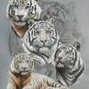 Baron - Graphite Ink Gouache And Water Paintings - By Barbara Keith, Realism Painting Artist