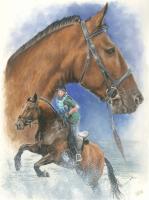 Beautiful Breeds - Equine - Cleveland Bay - Watercolor Enhanced Colored Pe