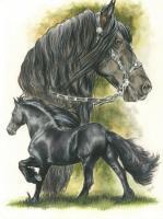 Beautiful Breeds - Equine - Freisian - Watercolor Enhanced Colored Pe