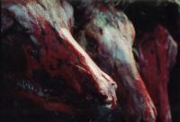 Cattlegrind No3 - Photography Photography - By Travis Mullins, Horror Photography Artist