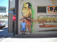 Copper Parrot Mural - Acrylic Paintings - By Greg Bucher, Portraitsrealistic Painting Artist