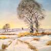 Frozen Oak - Oil On Canvasboard Paintings - By Lanny Roff, Impressionism Painting Artist