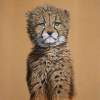 Aristocat - Acrylic On Canvas Board Paintings - By Marilyn Hull, Realism Painting Artist