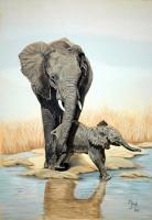 Wildlife - Gentle Mother - Acrylic On Canvas Board