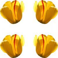 Balanced Tulips - Photoshop Digital - By Nosam Lebeirg, Digital Digital Artist