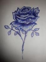 Rose Red - Ink Pen Drawings - By Sara Sheehan, Shading Drawing Artist