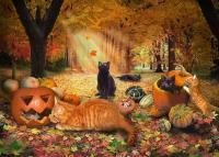 Cats In Autumn - Digital Digital - By Aura 2000, Animal Digital Artist