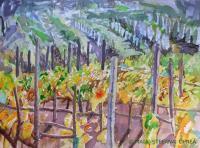 Vineyard III - Watercolor On Paper Paintings - By Maia Oprea, Impressionist Painting Artist