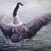 Dancing Canada Goose - Acrylic On Canvas Paintings - By Judy Kirouac, Realism Painting Artist