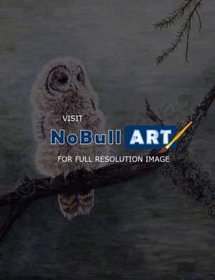 Wildlife - Young Owl - Acrylic On Canvas