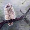 Young Owl - Acrylic On Canvas Paintings - By Judy Kirouac, Realism Painting Artist
