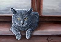 Carthusian Cat - Acrylic On Canvas Paintings - By Judy Kirouac, Portrait Painting Artist