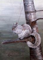 Hungry Squirrel - Acrylic On Canvas Paintings - By Judy Kirouac, Realism Painting Artist