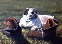 Pug And Boots - Acrylic On Canvas Paintings - By Judy Kirouac, Portrait Painting Artist