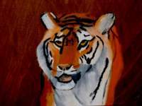 Tiger - Oil On Canvas Paintings - By Amateur Painter, Unknown Painting Artist
