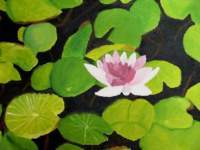Water Lilies - Oil On Canvas Paintings - By Amateur Painter, Unknown Painting Artist