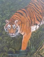 Tiger - Oil On Canvas Paintings - By Nathaniel B Dunson, Animals Painting Artist