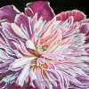 Pink Peony - Watercolor Paintings - By Jane Girardot, Realism Painting Artist