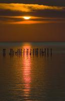 Wildlife - Sunset At Bon Secour Bay - Digital